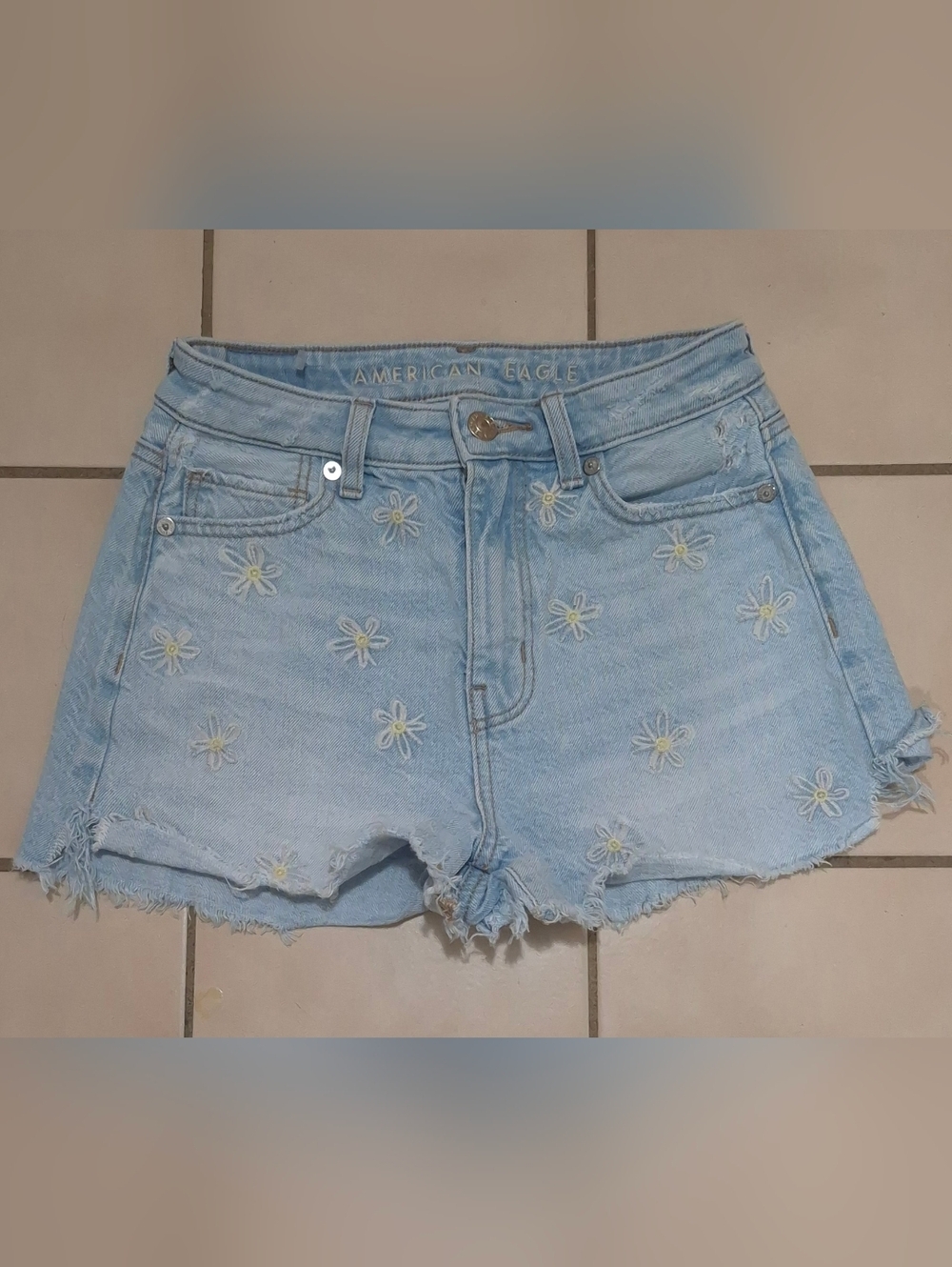 American Eagle Daisy Embroidered Denim Shorts (000)